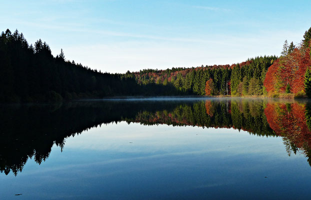 Impressionen aus dem schönen Allgäu