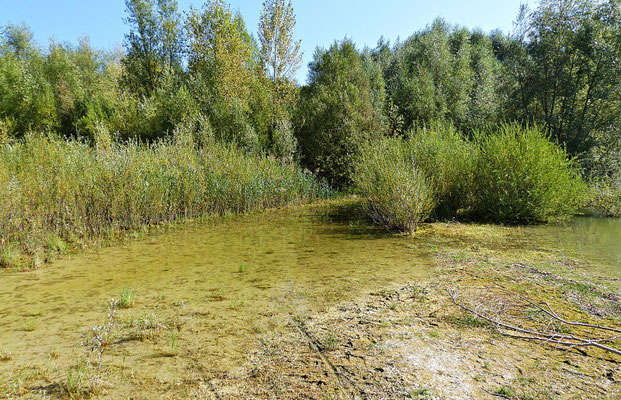 Badesee in Graben