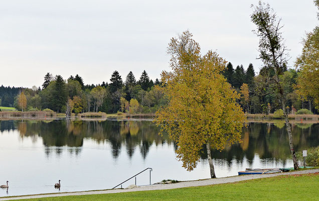 Soiener See