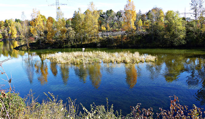 Beim Lech im Herbst