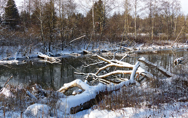 Der Lech bei Scheuring im Winter