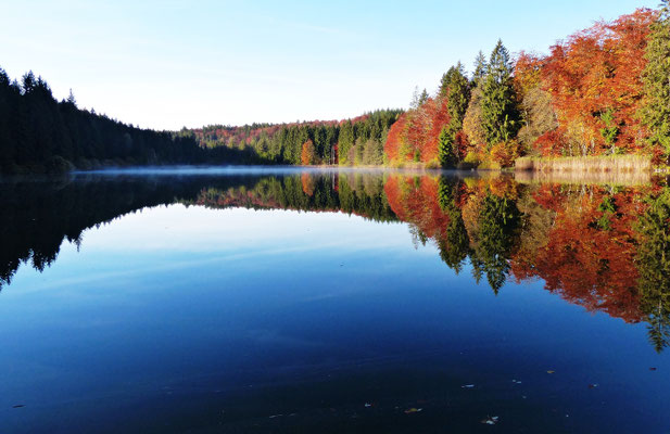 Impressionen aus dem schönen Allgäu