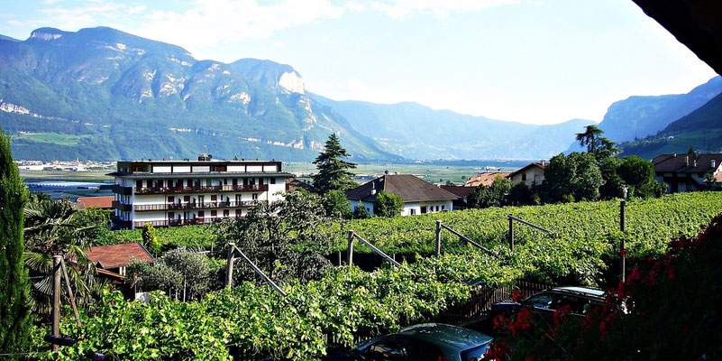 Die Aussicht von unserem Zimmer im Haus Wiesenheim in Tramin