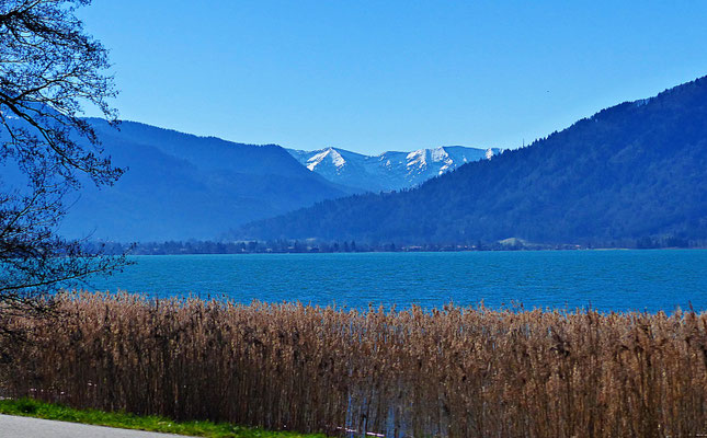 Der Tegernsee