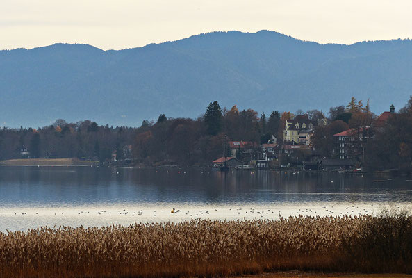 Starnberger See