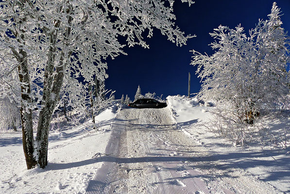 Winter im Bayerischen Wald