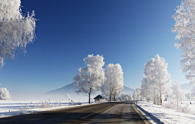 Winterlandschaft in Bayern