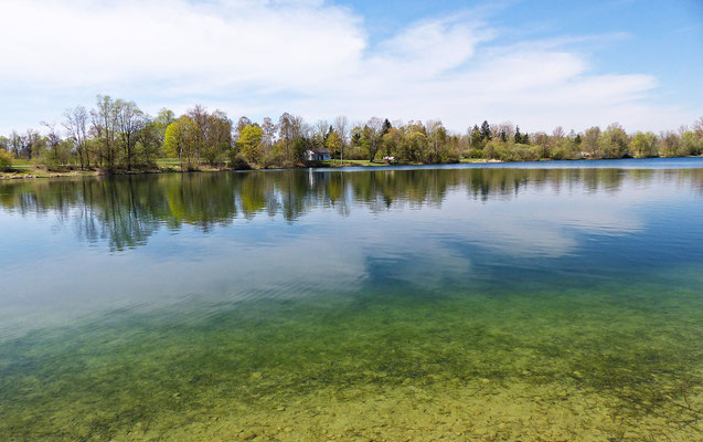 Der Auensee