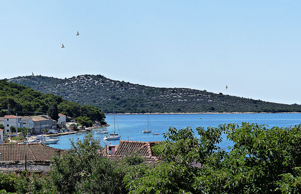 Rogoznica