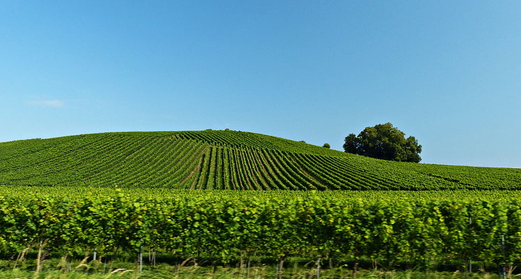Beim Bodensee