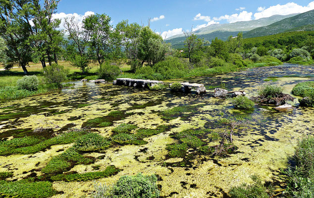 Pločasti Most