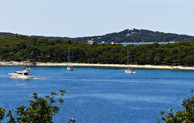 Rogoznica