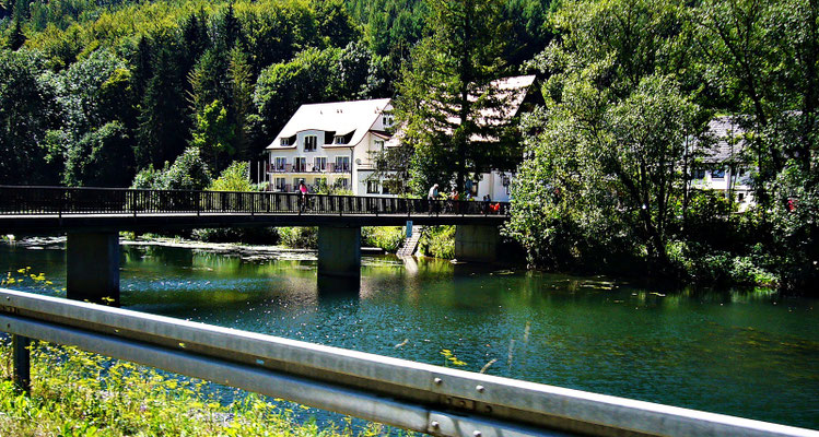 Die junge Donau