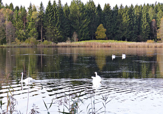 Im schönen Allgäu