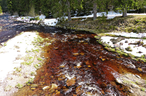 Im Sumava