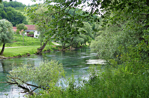 Die Pliva