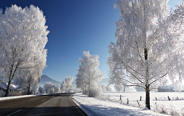 Winterlandschaft in Bayern