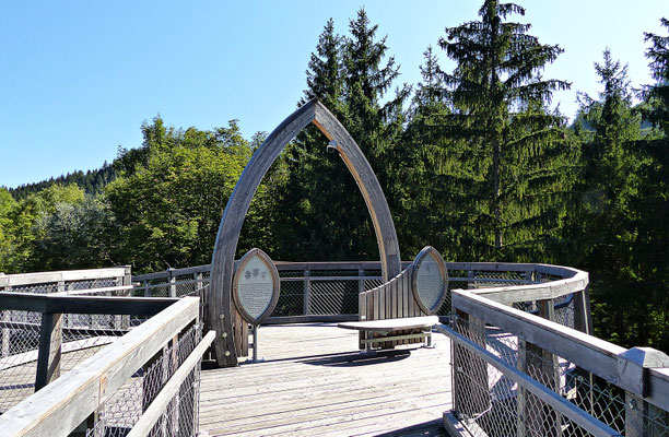 Der Baumwipfelpfad