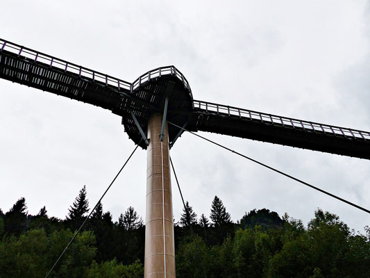 Der Baumwipfelpfad