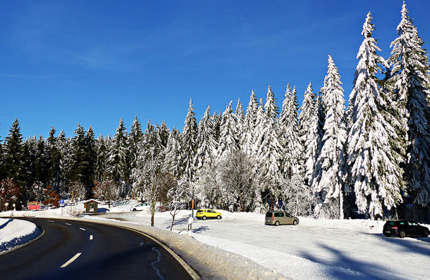 Winter im Bayerischen Wald