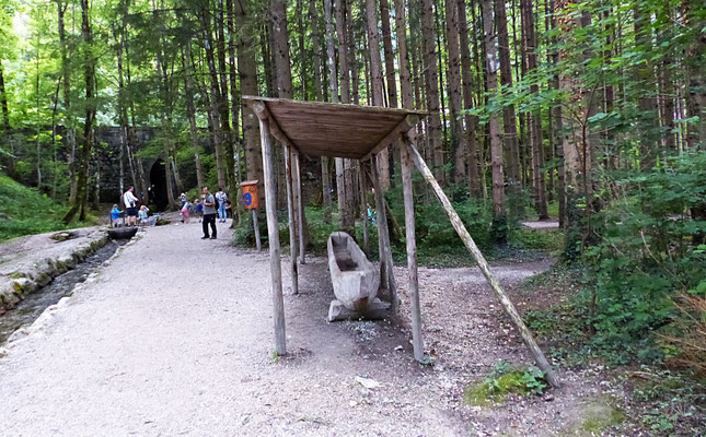Der Baumwipfelpfad