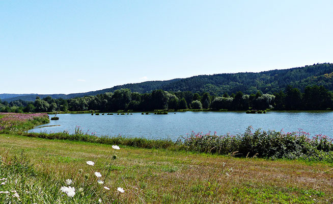 Der Fluss Regen im Sommer