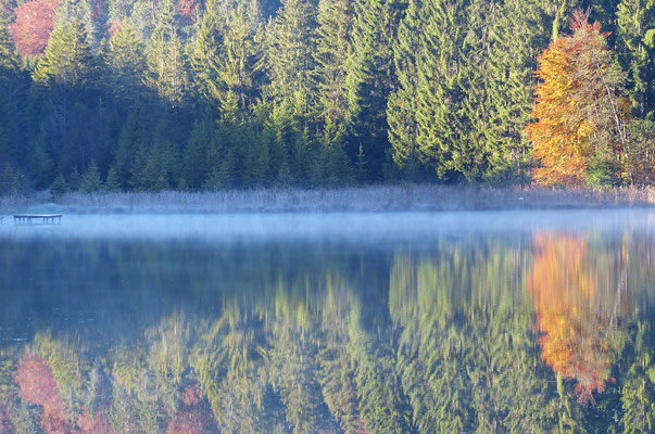 Impressionen aus dem schönen Allgäu