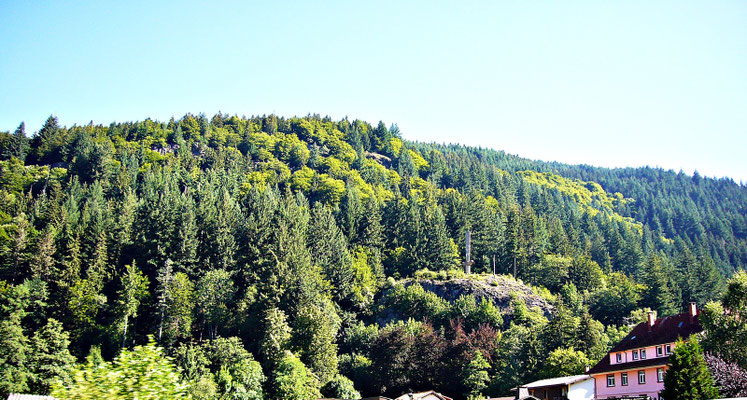 Im Schwarzwald