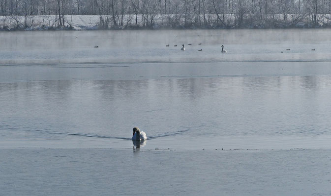 Beim Lech im Winter