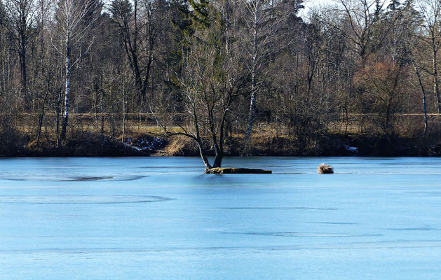 Der See im Winter