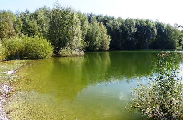 Badesee in Graben