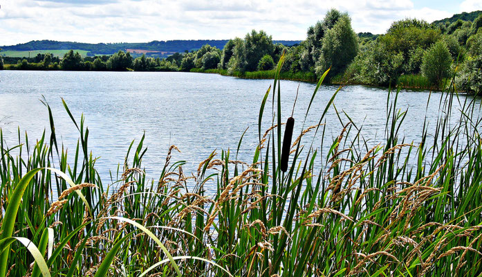 An der Mosel