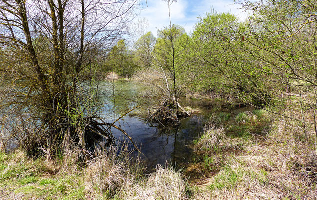 Der hintere Teil des Sees