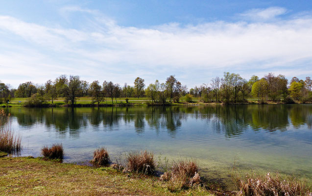 Der Auensee