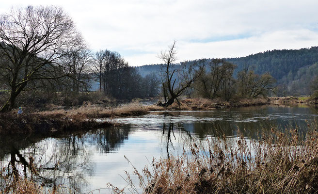 Der Fluss Regen im Frühjahr und Herbst