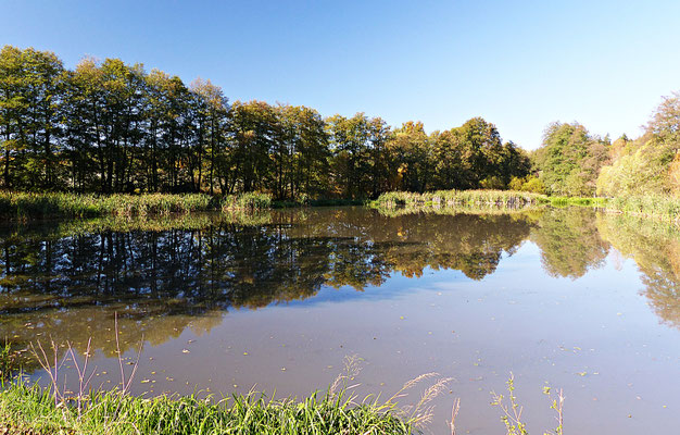 Farbenfrohes Böhmen