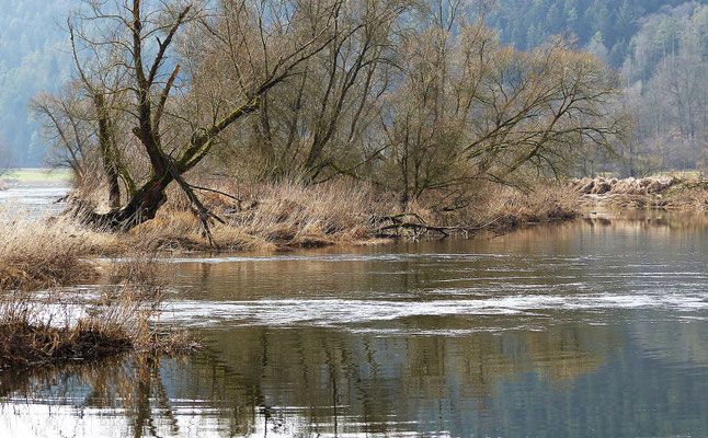 Der Fluss Regen im Frühjahr und Herbst