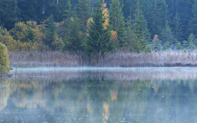 Impressionen aus dem schönen Allgäu