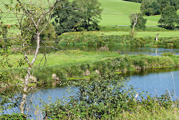 Der Fluss Regen im Sommer