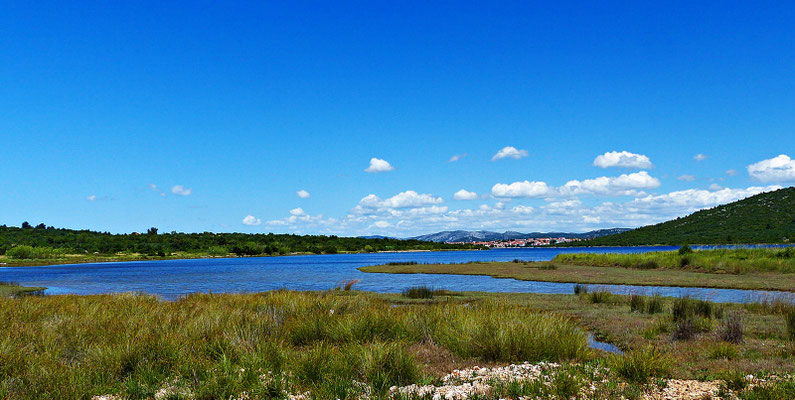 Tisno