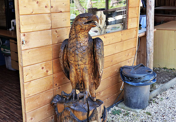 Holzschnitzerei im Greifvogelpark Menter in Konzenberg