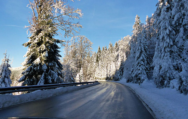 Winter im Bayerischen Wald