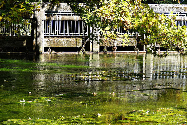 Beim Blautopf