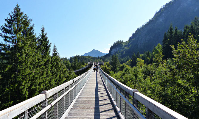 Der Baumwipfelpfad