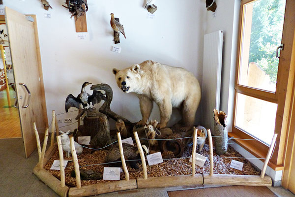 Im Museum