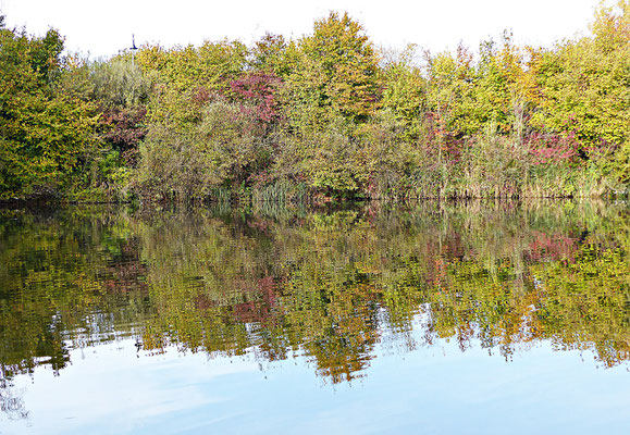Der Rothsee