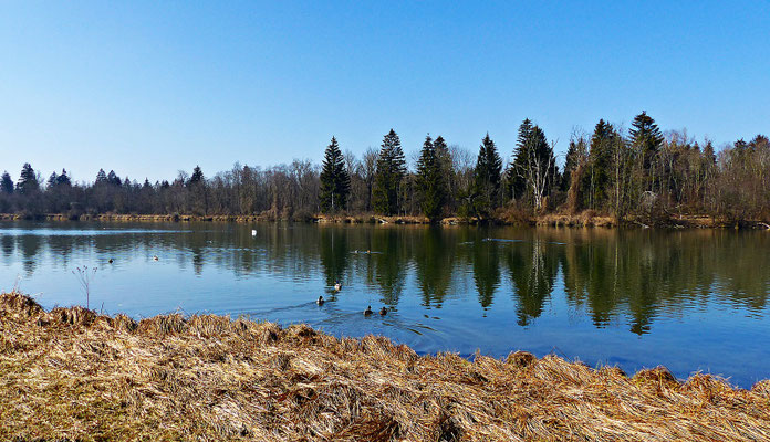 Der Lech bei Scheuring