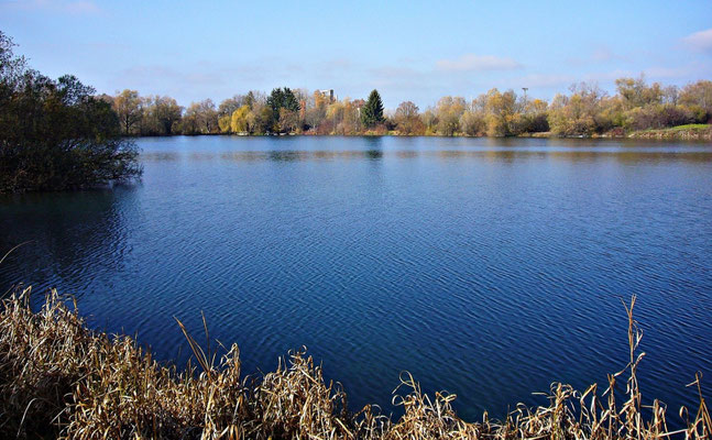 See an der Benzstrasse