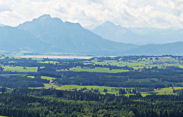 Die Natur beim Auerberg