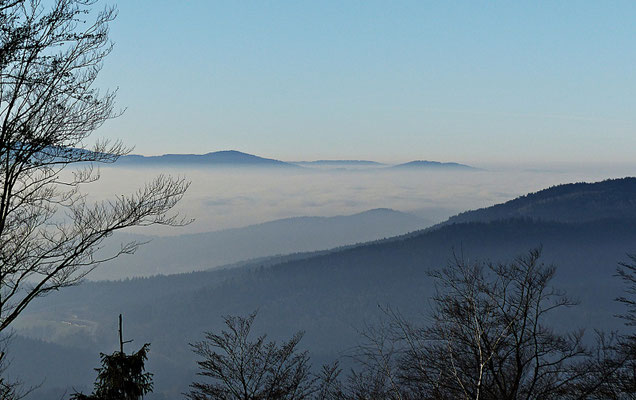Im Bayerischen Wald